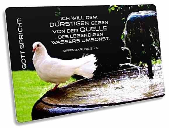 Jahreslosung 2018 Postkarte - Motiv: Weiße Taube am Brunnenrand
