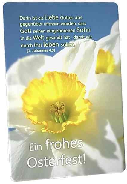 Christliche Osterkarte: Narzissenblüte II - Postkarte zu Ostern