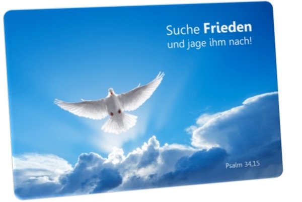 Jahreslosung 2019 Postkarte - Motiv: Weiße Taube