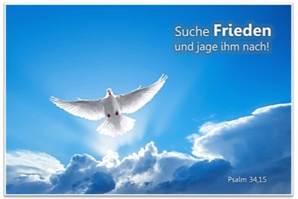 Jahreslosung 2019 Poster DIN A 3 - "Weiße Taube" - Friedenstaube" - JL 2019