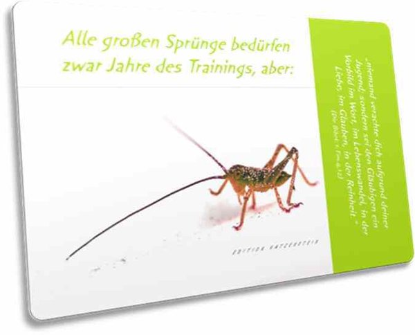 Christliche Postkarte: junger Grashüpfer - Postkarte mit Pfiff