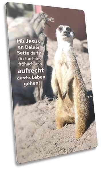Christliche Postkarte lang - stehendes Erdmännchen - Maxicard