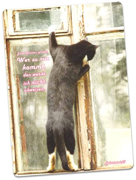 Postkarte Jahreslosung 2022 - Am Fenster stehende Katze