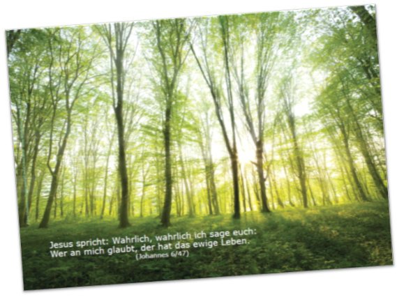 Christliches Plakat A4 - Lichtdurchfluteter Frühlingswald