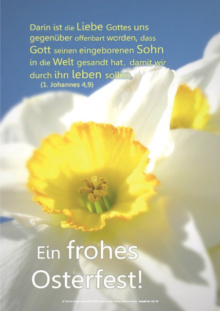 Poster Ostern A3 - Narzissenblüte II