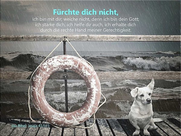 Christliches Plakat A3 - Hund an stürmischer See
