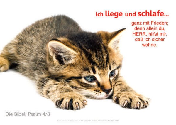 Christliche Poster A2 - 14-Stück-Set Nr. 10 - Plakate - Schaukasten