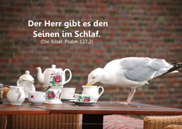 Christliche Poster A1 - 14-Stück-Set - Psalmworte - Plakate - Schaukasten