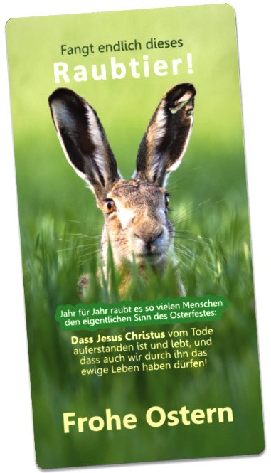 Christliche Osterkarte Feldhase im Gras- Maxicard lang
