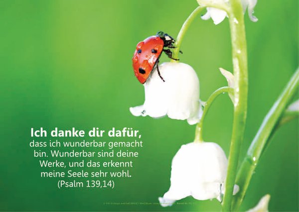 Poster Set A3 - Psalmworte - 14-Stück-Set - Schaukastenplakate