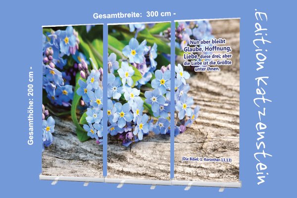 Roll-Up-Display - Vergissmeinnicht-Blüten- 300x200cm